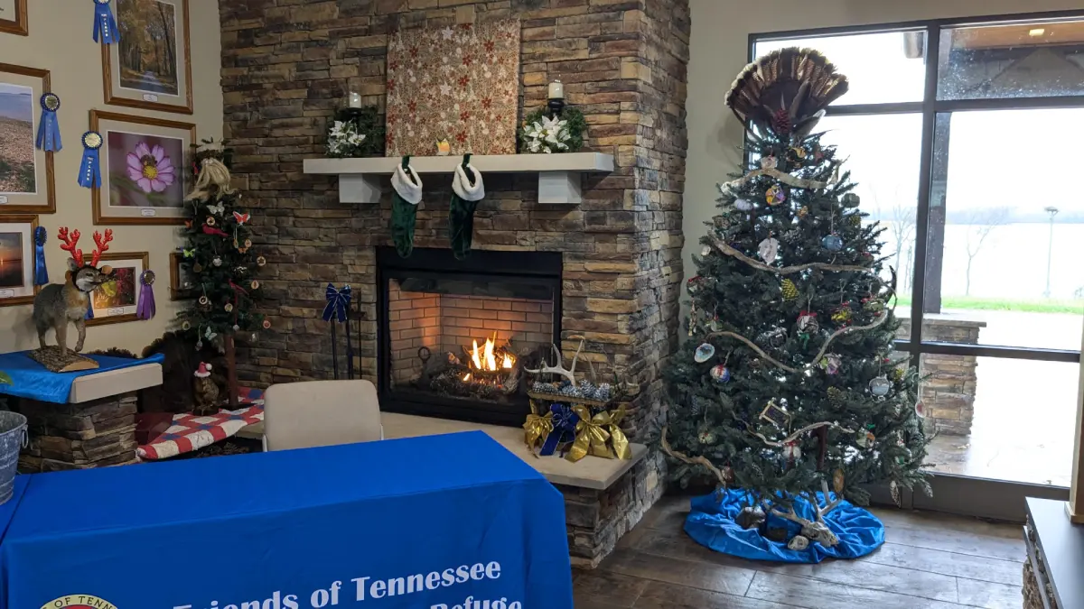 Tree Trimming Event